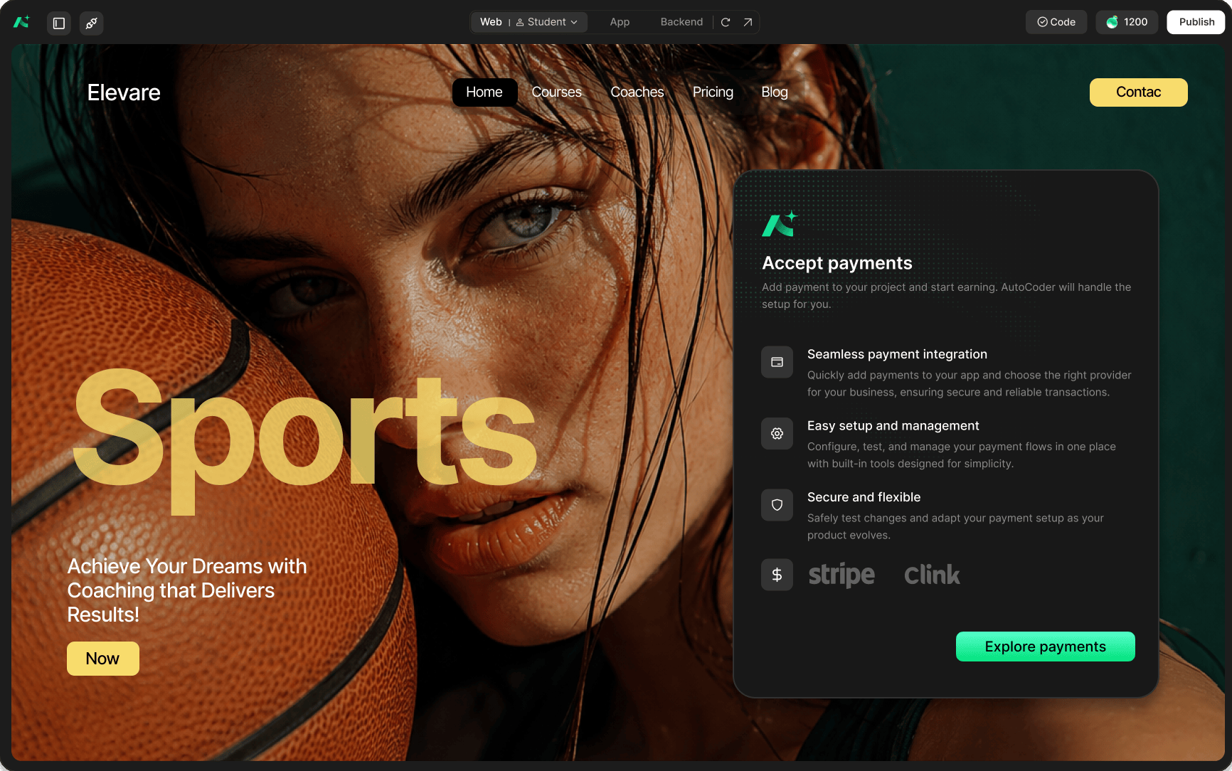 Payments preview