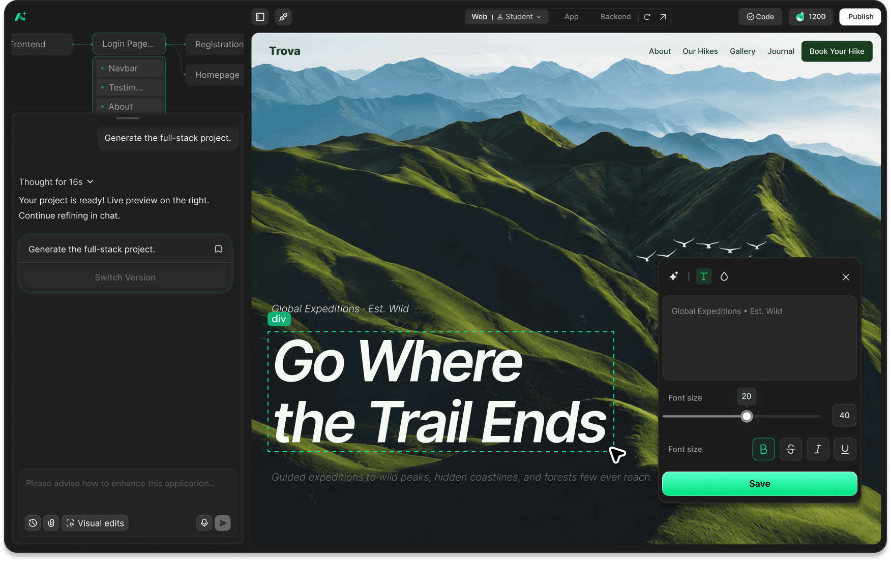 Visual editor preview